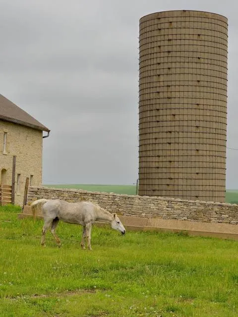 Spring Hill Ranch House
