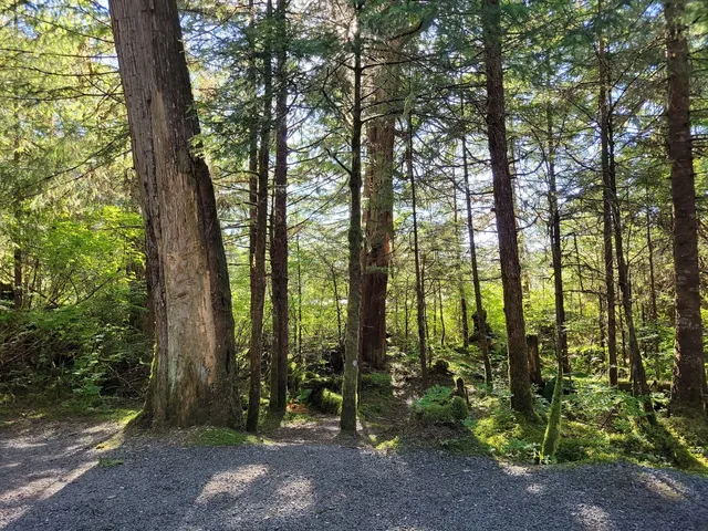 place image