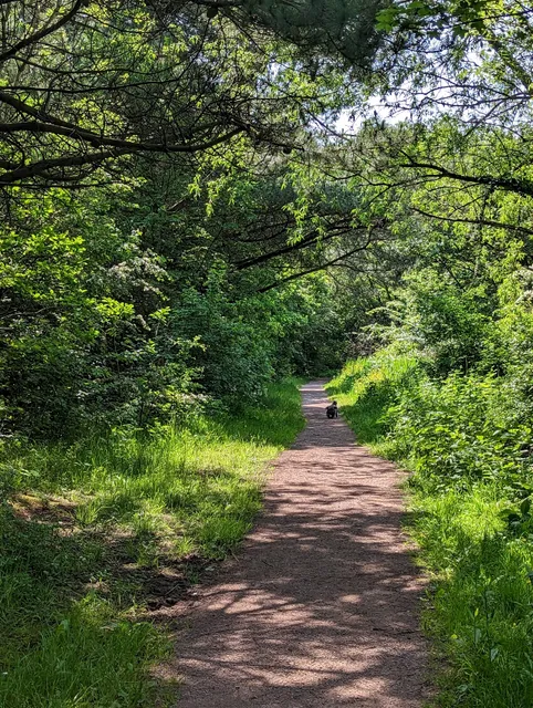 Howardian Local Nature Reserve