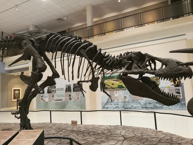 Museum of Texas Tech University