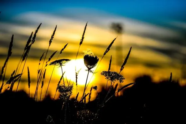 Richmond Green Sports Centre and Park