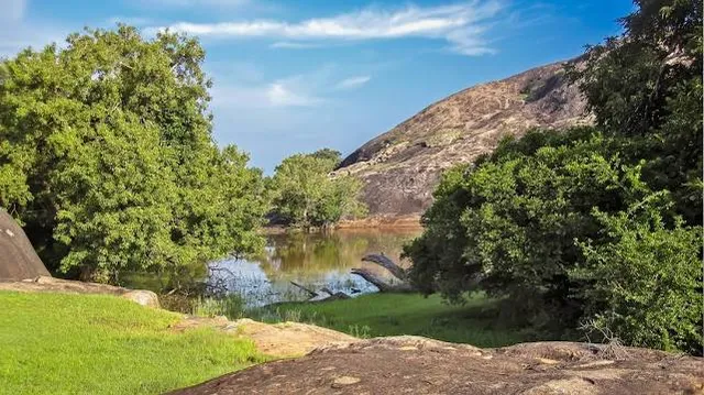 Wilpattu National Park