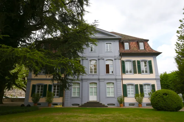 Forum Schlossplatz / Kultur / Literatur / Kunst