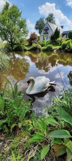 Gîtes Les jardins de la cantine