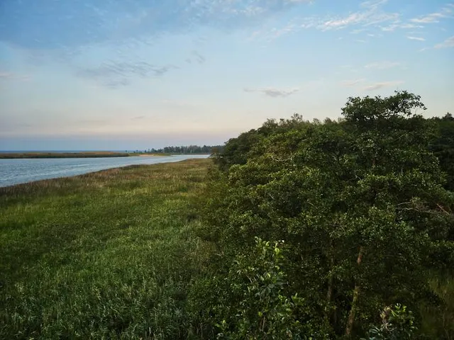 Bird Reserve Ptasi Raj