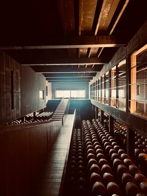 Bodegas Campo Viejo