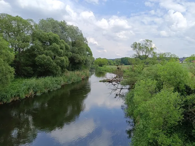 Rezerwat Rzeka Drwęca