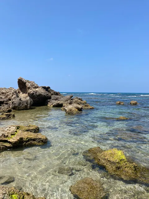מכמורת ביץ׳ Michmoret Beach