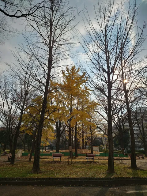 Hokima Park