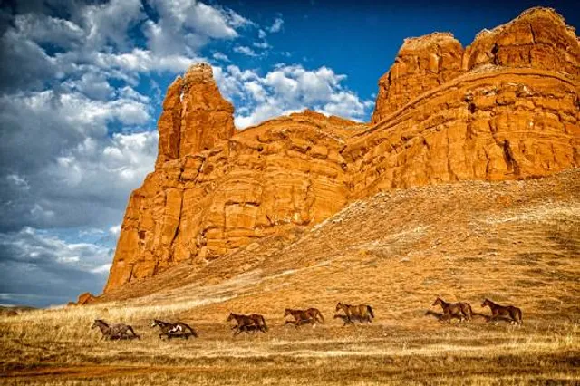 Red Gulch Dinosaur Tracksite