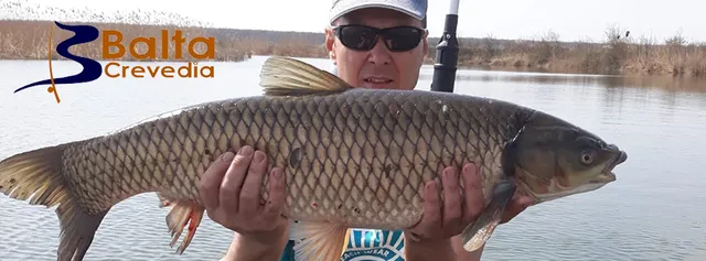 Balta Crevedia (Lacurile 1 si 2 Cocani)