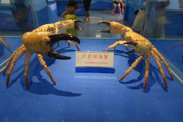 Chuwan Crab Museum