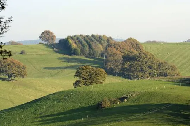 Surrey Hills Area of Outstanding Natural Beauty