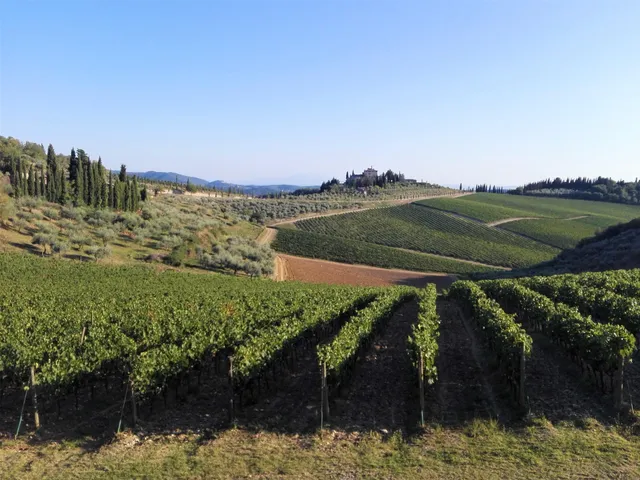 Castello di San Donato in Perano