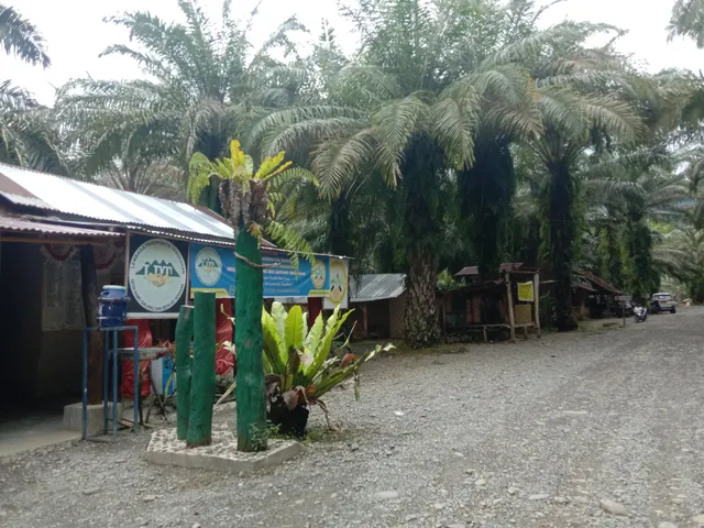Tangkahan Ecotourism