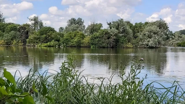 Réserve naturelle nationale des étangs du Romelaëre
