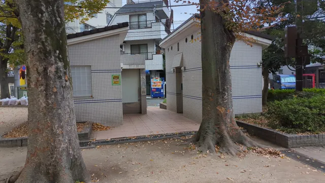 photo-2