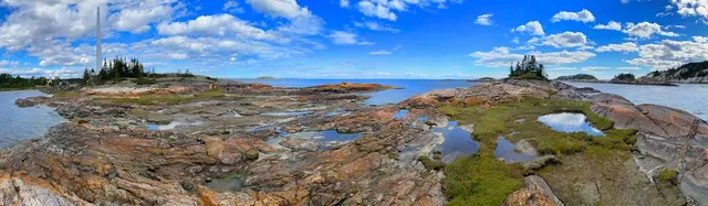 Les Dinosaures du Quai De Ragueneau