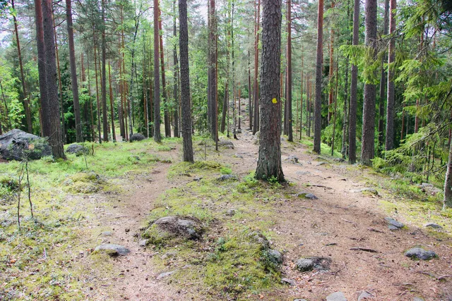 Sonninmäki Nature Trail