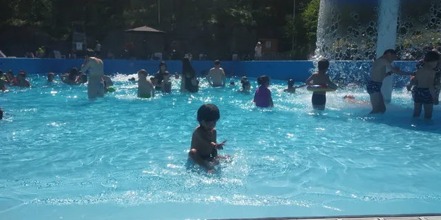 photo-3