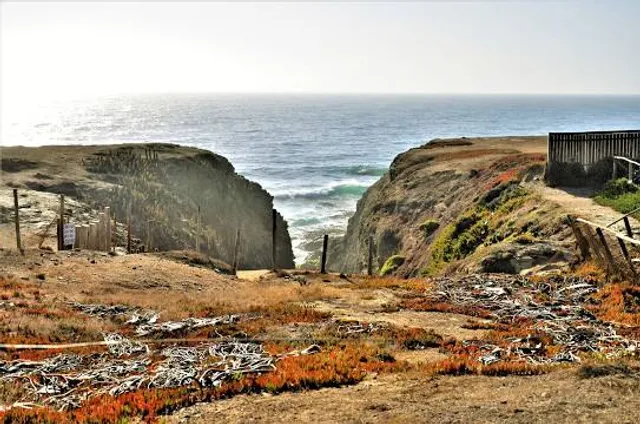 Punta de Lobos. Pichilemu