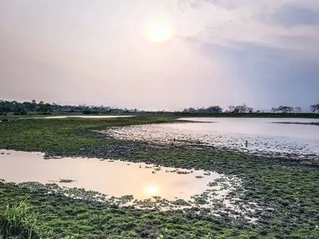 Kaziranga Main Entrance - Kaziranga Range, kohora