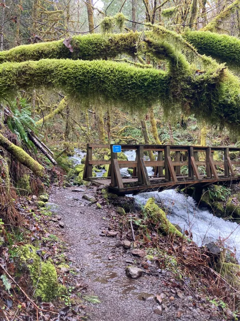 Hardy Creek Trailhead