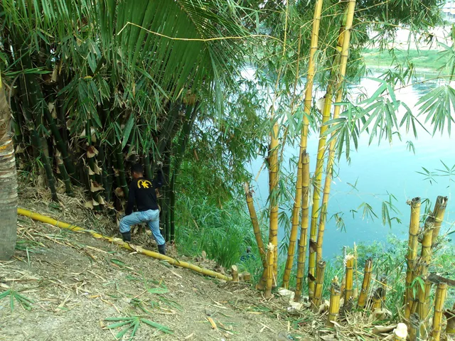 Puente Velasco Ibarra