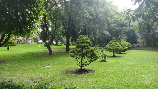 Parque Ecológico Loreto y Peña Pobre