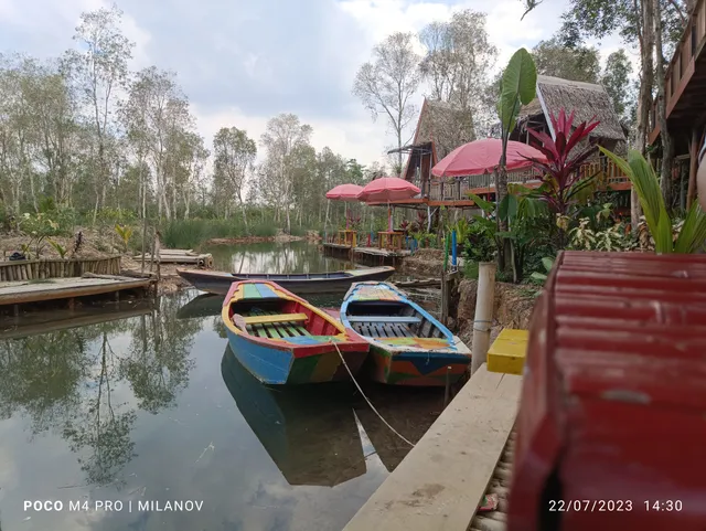 GELAM FOREST FANTASI