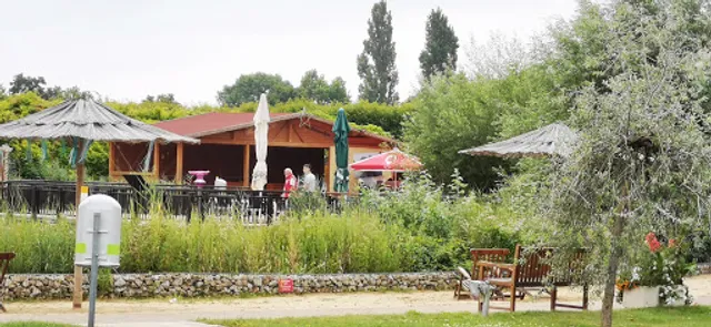 Palmenhaus Kulinarik