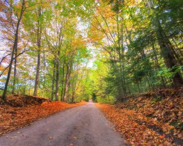 Glen Haffy Conservation Park