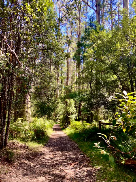 O'Donohue Picnic Ground