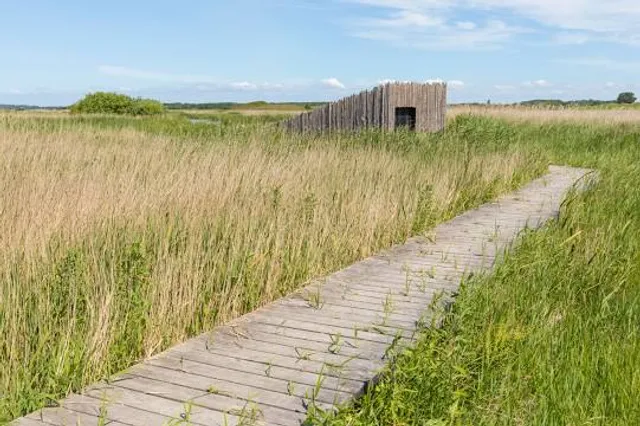 Tryggelev Nor bird sanctuary