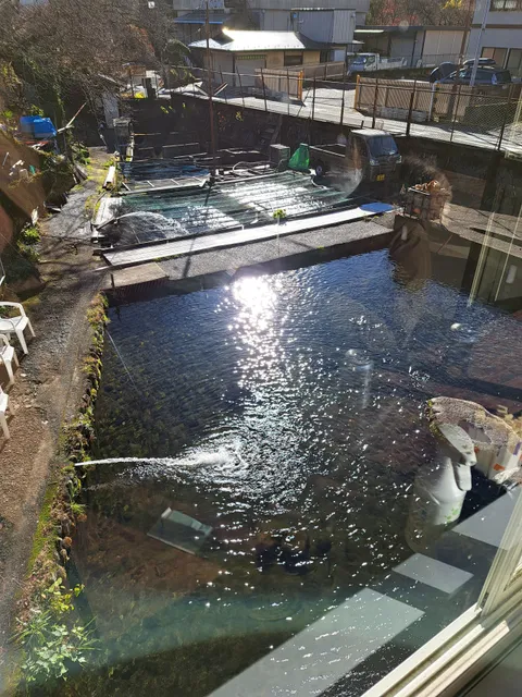 はこね宮城野国際ます釣場