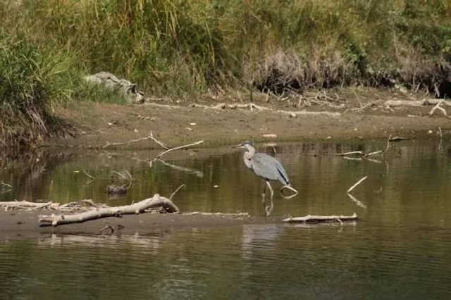 Inglewood Bird Sanctuary
