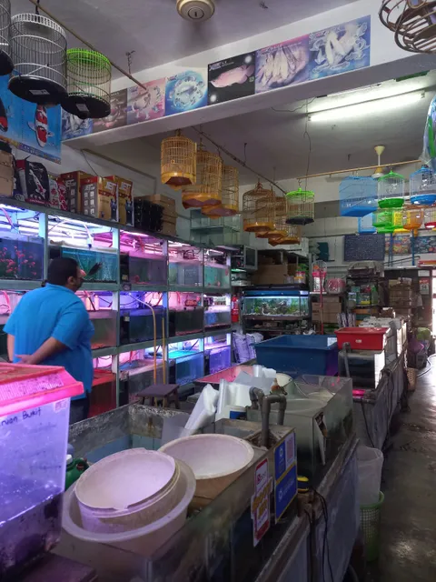 Manjung Aquarium Pets Centre (1P0155324-T)
