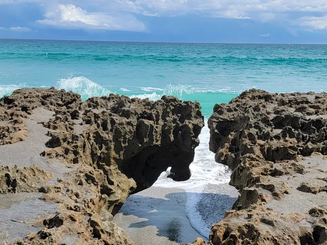The Nature Conservancy Blowing Rocks Preserve