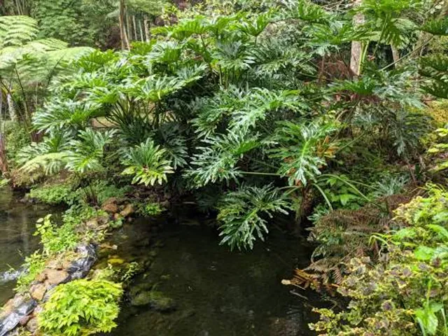 Pagar Alam Green Paradise