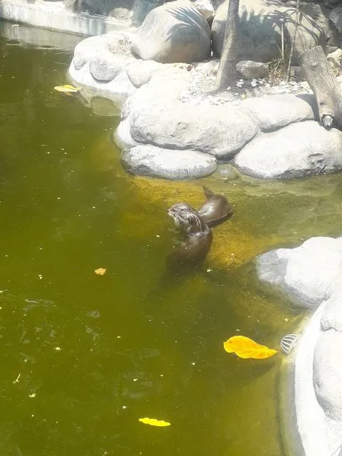 Otter Creek State Park