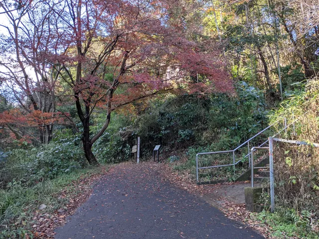 Ogusuyama East side Trailhead
