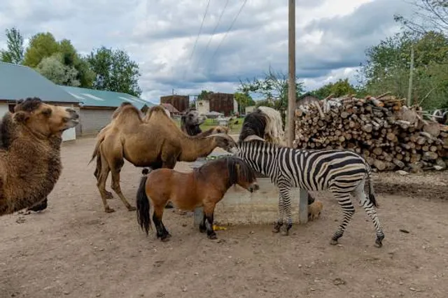 Dundaga Exotic Animal Zoo