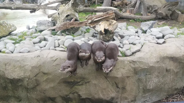 Orana Wildlife Trust