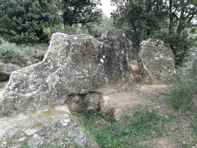 Dolmen de Puigsespedres