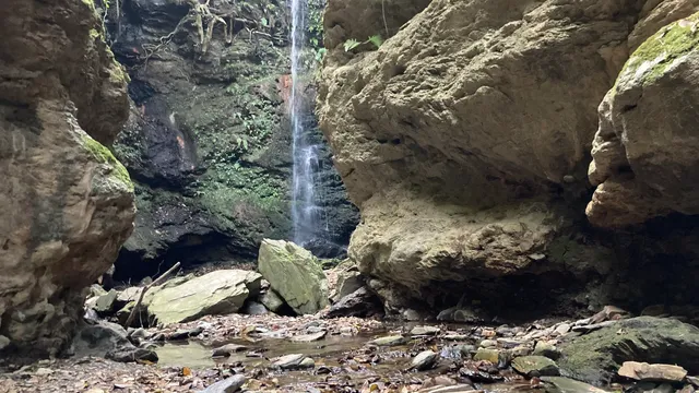 Taradevi Waterfall Zone