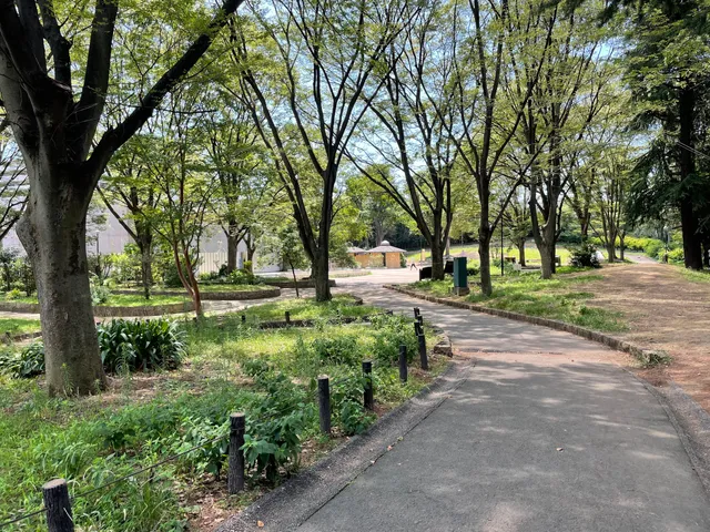 Toyama Park (Okubo Area)