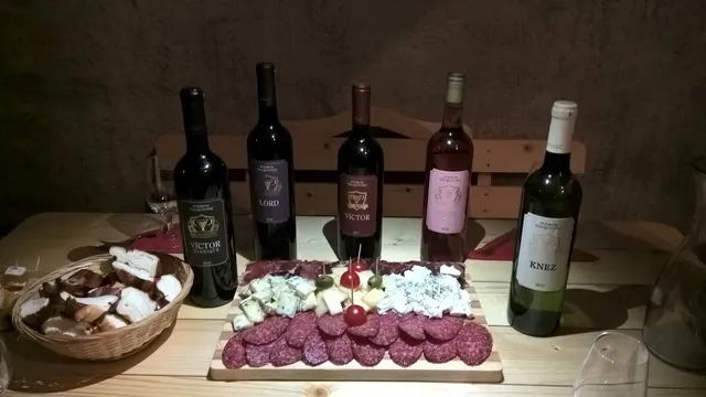 Wine Cellar Panajotovic - Podrum Panajotović