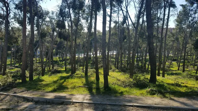 Parque de La Elipa
