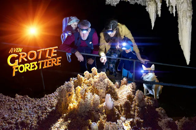 Grotte Aven Forestière : Grotte en Ardèche
