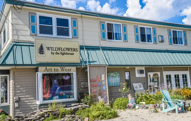 Wildflowers by the Lighthouse